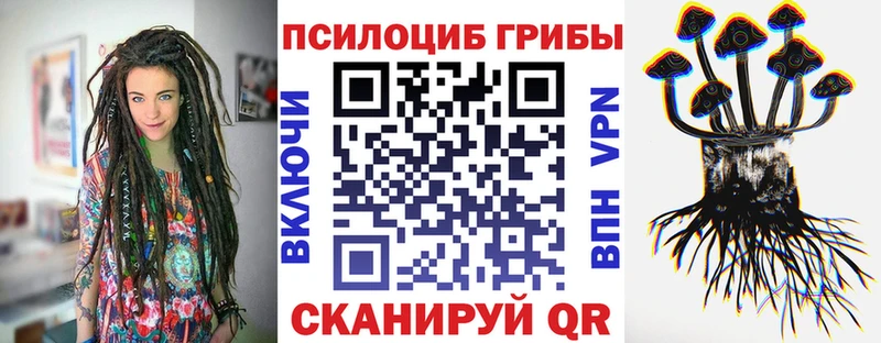 Галлюциногенные грибы Magic Shrooms как найти закладки Рыбинск